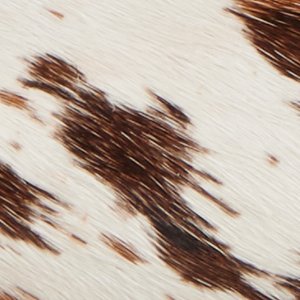 Authentic Original? Cloud Boat Shoe - Image 8