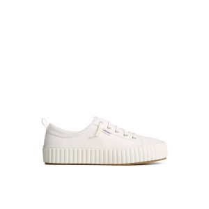 Pier Wave Platform Lace Up Sneaker