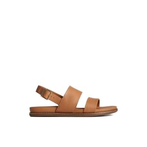 Waveside PLUSHWAVE? Backstrap Sandal