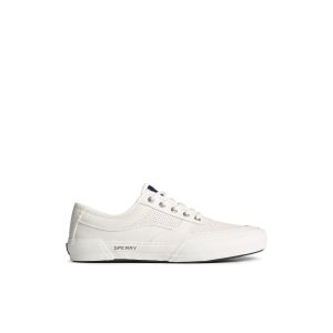 SeaCycled? Soletide Sneaker