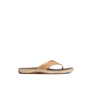 Havasu Leather Thong Sandal