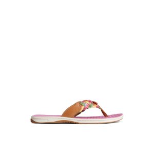 Parrotfish Braid Sandal