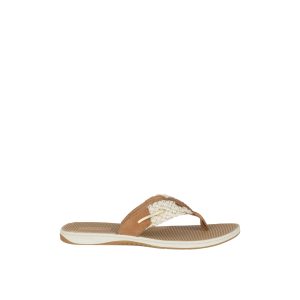 Parrotfish Sandal